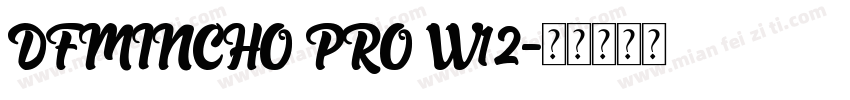 DFMINCHO PRO W12字体转换